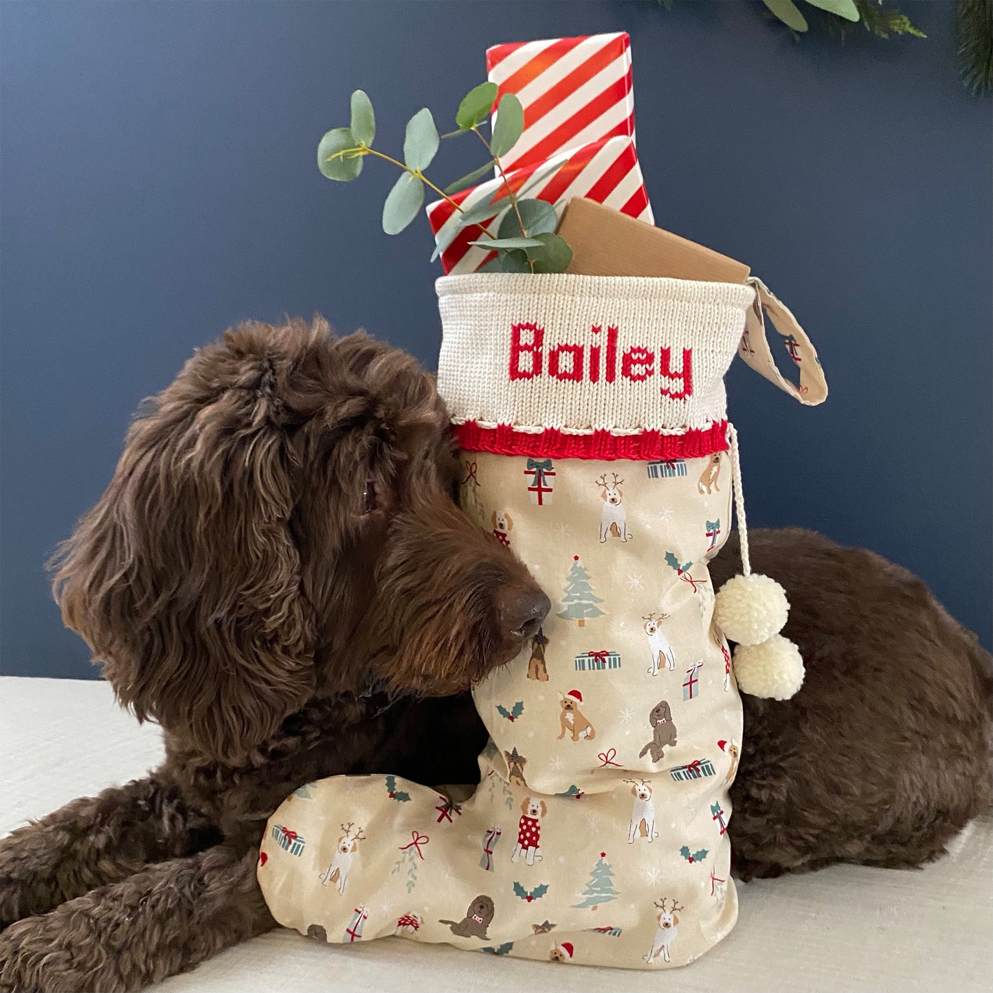 Personalised Christmas Stocking for Dogs