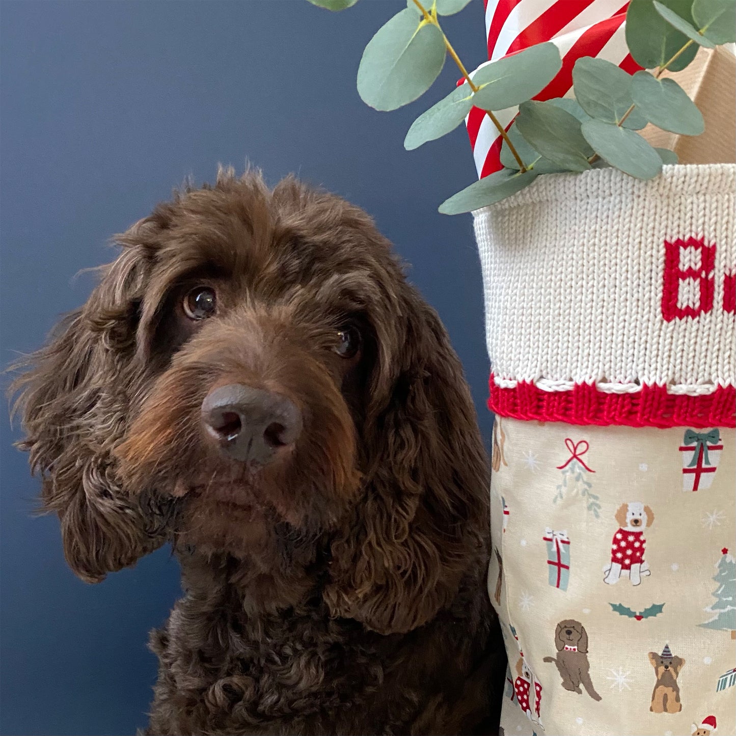 Personalised Christmas Stocking for Dogs